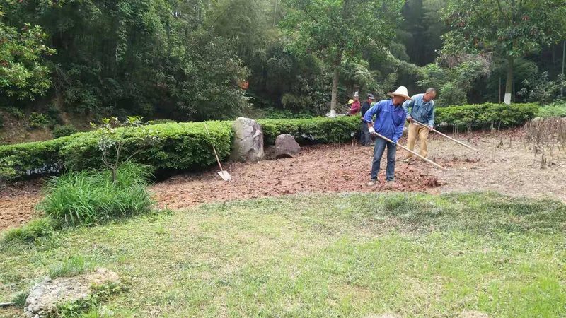 高速公路边坡绿化设计规范：标准解读与实施要点**