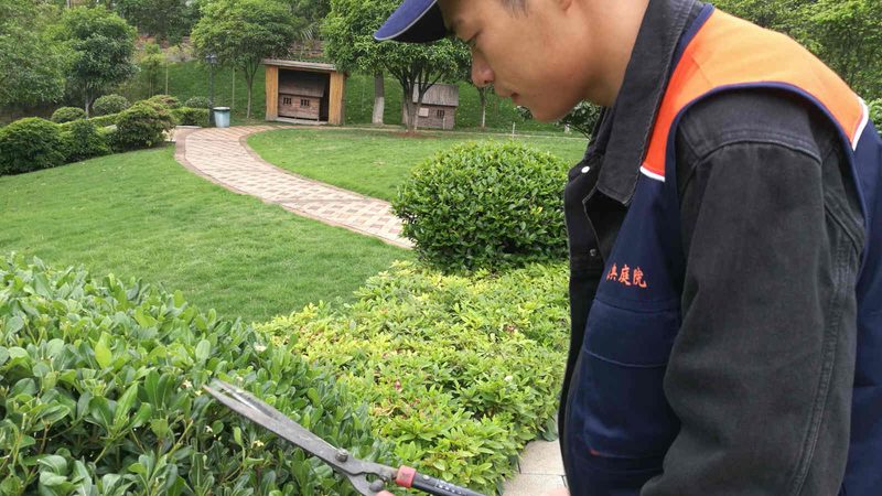 屋顶绿化草坪与普通草坪区别