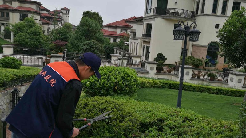 花卉租摆按盆还是按年收费