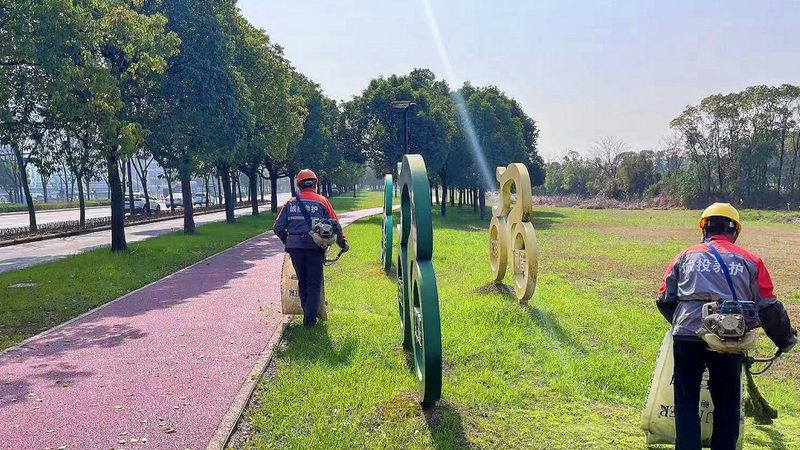 屋顶绿化植物价格报价单：揭秘成本构成与选购要点