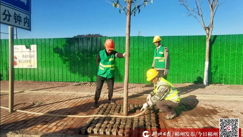 苗木种植与造林：行业标准对比解析