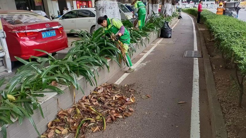 日式庭院植物定制设计：如何打造一席静谧禅意之地
