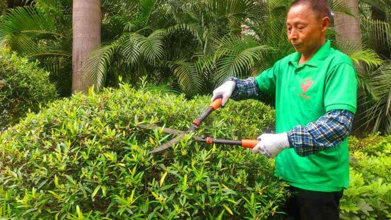 植物墙加盟代理，费用与价值如何平衡？**