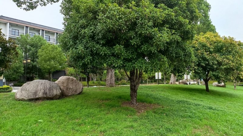 苗木种植报价单制作软件：助力精准报价，提升行业竞争力
