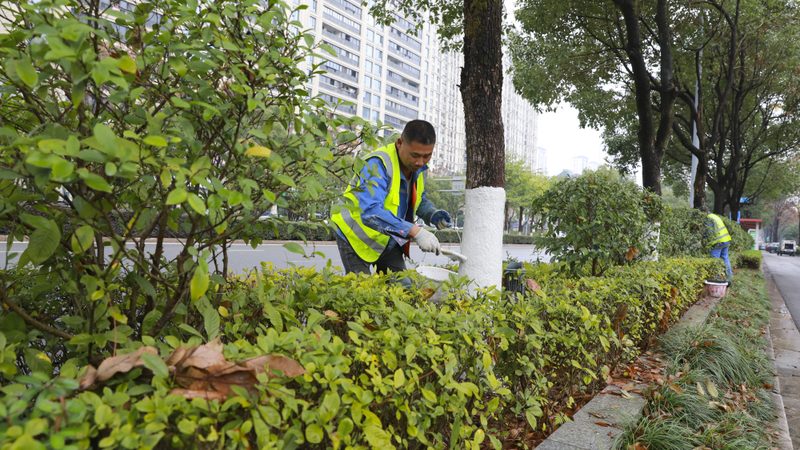 成都园林绿化工程报价明细：揭秘成本构成与影响因素