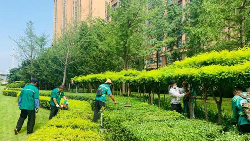 别墅花园绿化配置方法：打造生态宜居的秘密武器